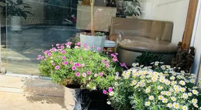 Hotel Pansy - Image 5