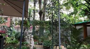La Casa di Elena - Image 5