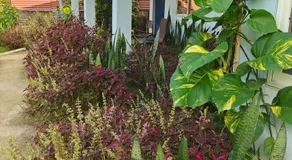 Org Retreat & Farmstay - Image 4