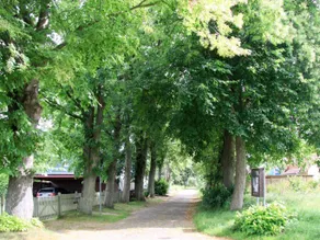Boddenrauschen - Image 3