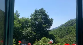Casa Gaia - Nature Retreat - Image 3