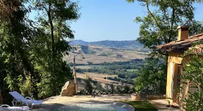 B&B Cal Torello - Image 3