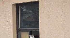 Le Verde Lodge - Image 4