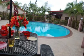 Budget Inn Anaheim near Disneyland Drive - Image 2