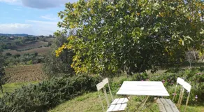 Agriturismo I Ciliegi Appartamento Ginestra - Image 5