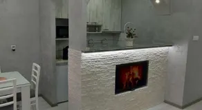 Studio apartman Elena - Banja Koviljača - Image 2