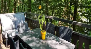 Relaxing Ardennes Getaway in Durbuy - Image 3