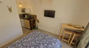 Chambre indépendante avec sdb, cuisine et terrasse - Image 4