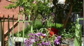 Casa Di Mama - Image 2