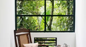 The Tree Terrace - Image 3