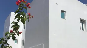 Blue House - Image 2
