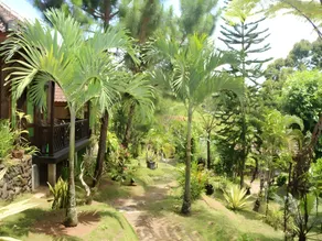 Ijen Resto Banyuwangi Guest House - Image 3