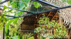 Ella Mc Queen Homestay - Image 2