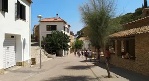 Felip - Image 4