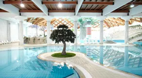 Apartments Čatež - Terme Čatež - Image 3