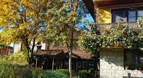 Dona Guest House - Horse Riding - Image 5