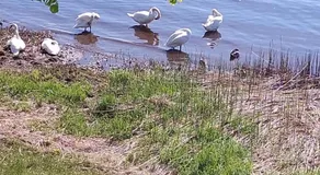 Квартира у реки - Image 5