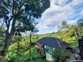 Kebun Teh Wonosari Rollaas Hotel & Resort - Image 2