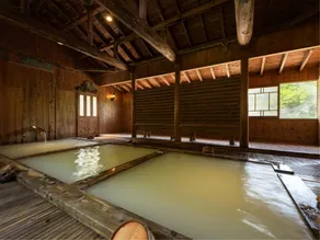 Noji Onsen Hotel - Image 3