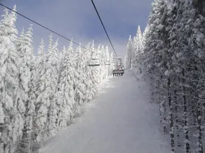 Hütte Präbichl - Image 5