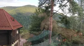Casa Adina - Image 4