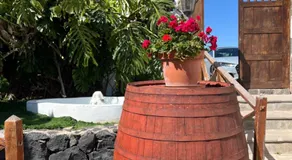 Urlaub 'La Paredita Casa Abona' mit Gemeinschaftsgarten und Wi-Fi - Image 2