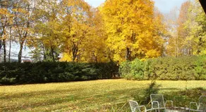 The Cottage - Image 5