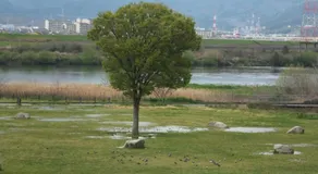 Hirakata-park Guesthouse - Image 5