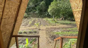 Kubo Ni Cesar - Image 3