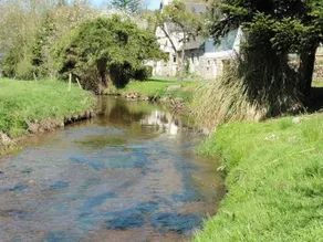 Rainbow River Cottage - Image 1