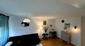 Furnished Apartment in Baden - Image 2