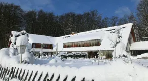 Restaurant & Hotel Baumhaus Hagen - Image 3