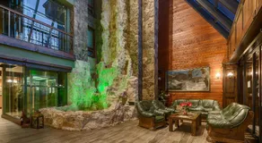 APLEND Wellness Hotel Borovica - Image 4