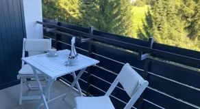 Schwarzwald Wohnung Kniebis - Image 4
