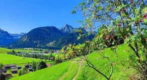 Apartment Austria - Image 4