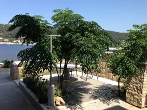 Apartment Coastal home A1 Supetarska Draga, Island Rab - Image 4