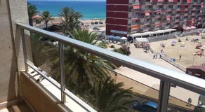 Palmeral de Torrevieja - Image 5