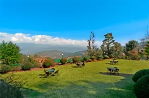 Suman Royal - Image 3