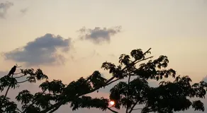 Elysium Kovalam - Image 4