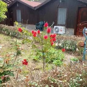 Huzur Pansiyon ve Çay Bahçesi - Image 3