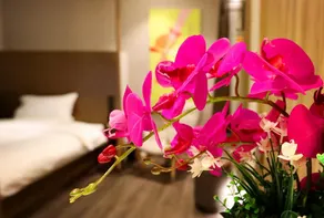 Hanting Premium Hotel Shanghai Songjiang Station - Image 2