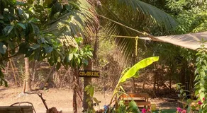 Jardín Casa Boutique Zipolite - Image 5