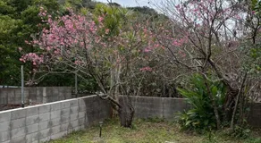 Friend hotel - Image 5