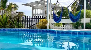 The Novelo - Image 3