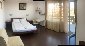 Casa Tomson, free parking, ciubăr, piscină în natura - Image 2