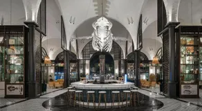 Ocean el Faro Resort - All Inclusive - Image 4