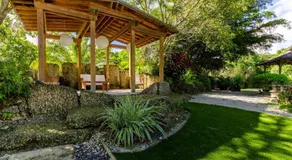 Wonderkoi - Oasis with Pool and Koi Ponds in Miami - Image 5