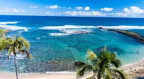 Villa 202 at Turtle Bay - Image 4
