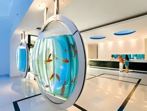 Blue Sea Beach Resort - Image 5