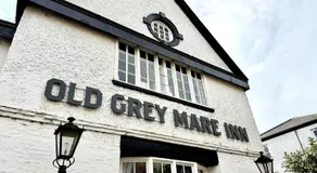 Old Grey Mare - Image 5